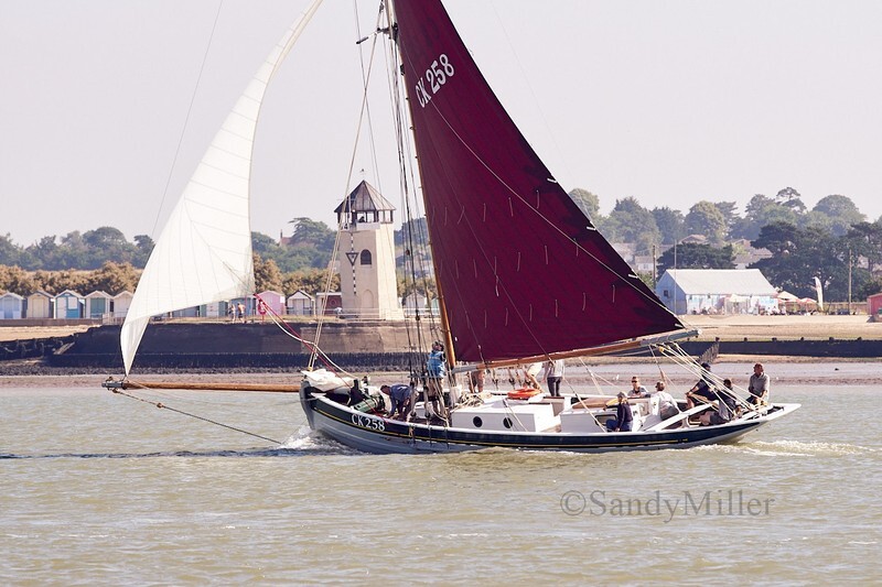 _DSC4360 - Rowhedge Regatta 2018