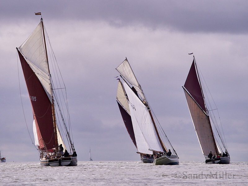 _6223799  - Wivenhoe Regatta 2024