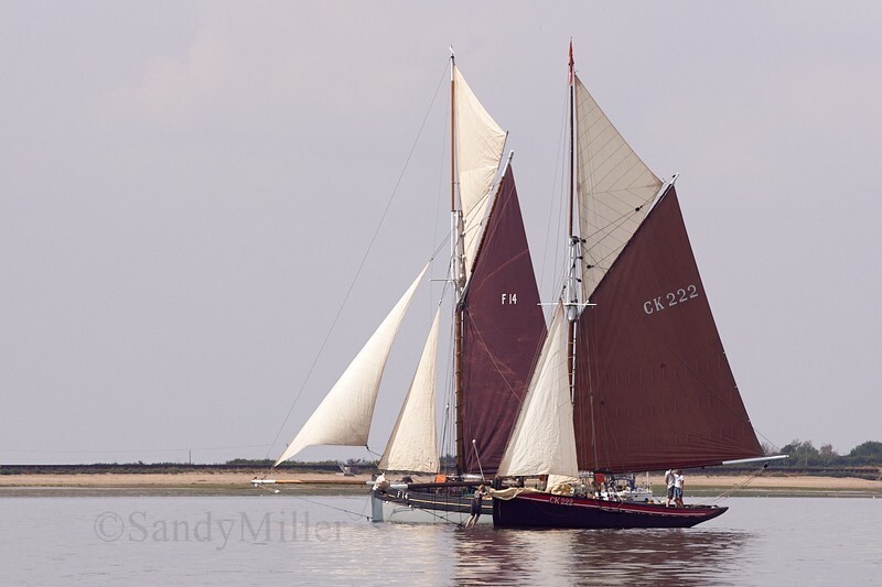 _DSC5881 - OGA East Coast Race 2018