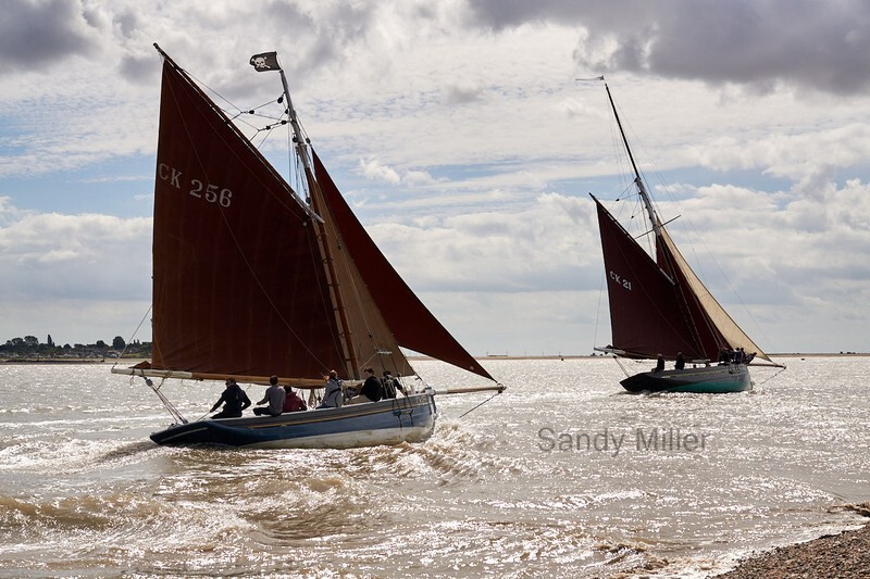 _DSC5239  - Wivenhoe Regatta 2022