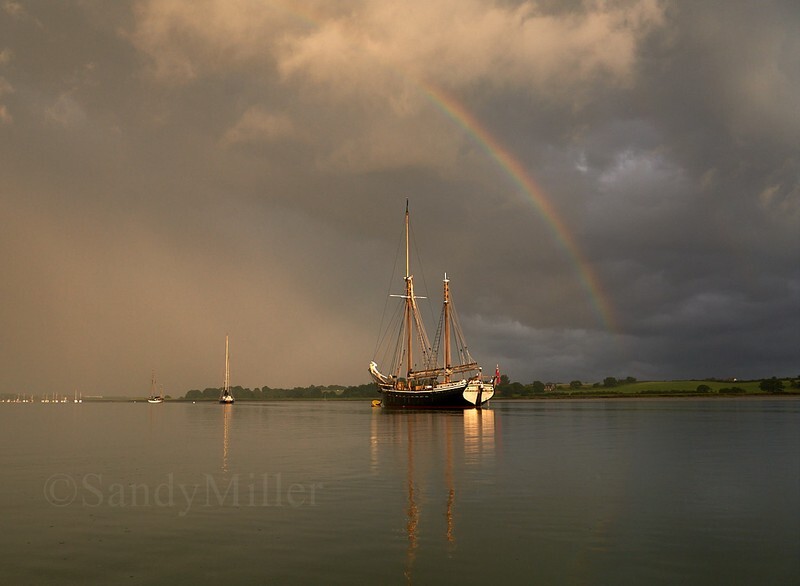 _DSC0319 - Estuary light