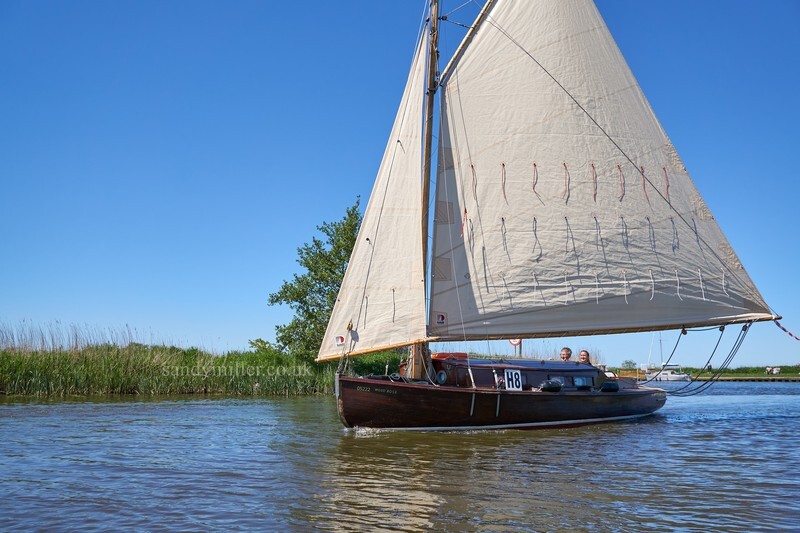 _DSC9979  - 3 Rivers Race 2021