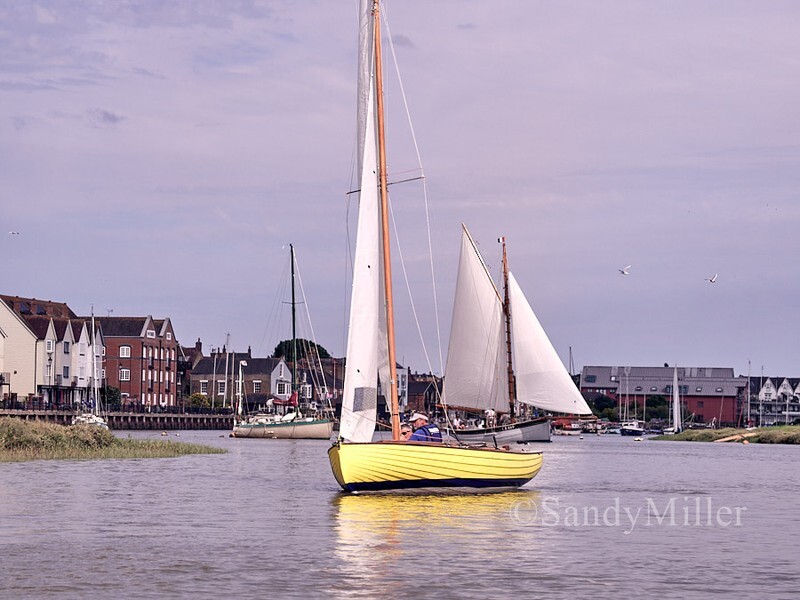 _1017425 - Rowhedge Regatta 2026