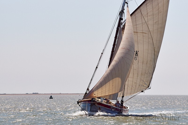 _DSC4482 - Rowhedge Regatta 2018