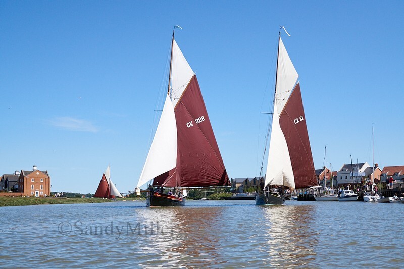 _DSC9644 - Rowhedge Regatta 2019