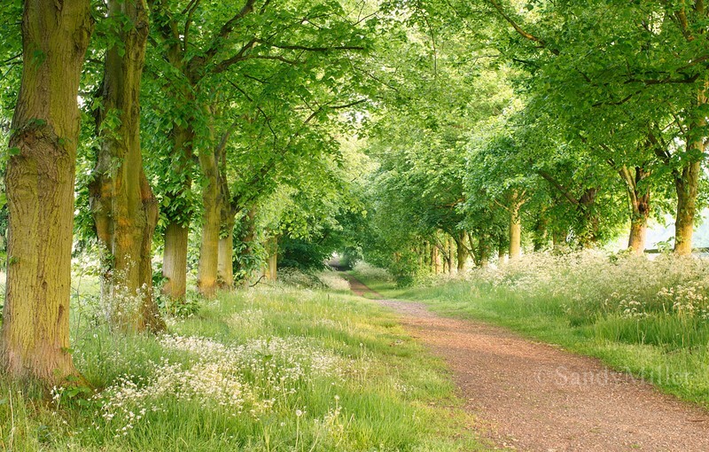  - Within a Few Miles