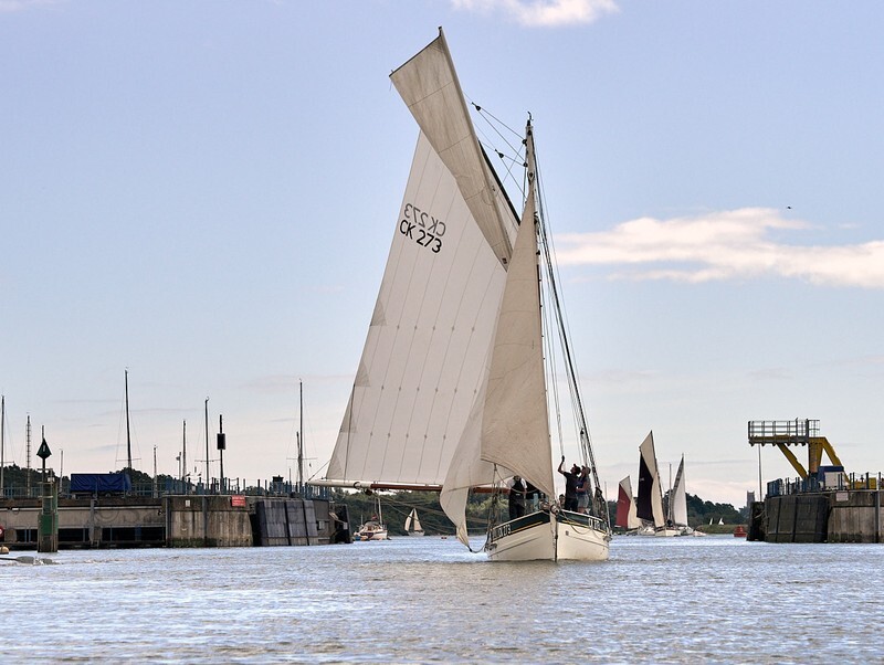 _6223923  - Wivenhoe Regatta 2024