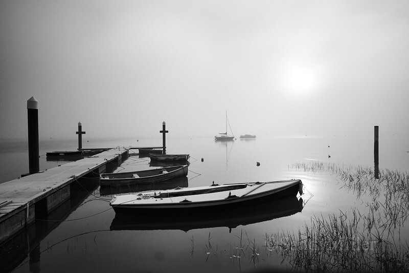 _DSC9008 - New work