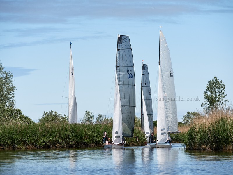 _1003952  - 3 Rivers Race 2021