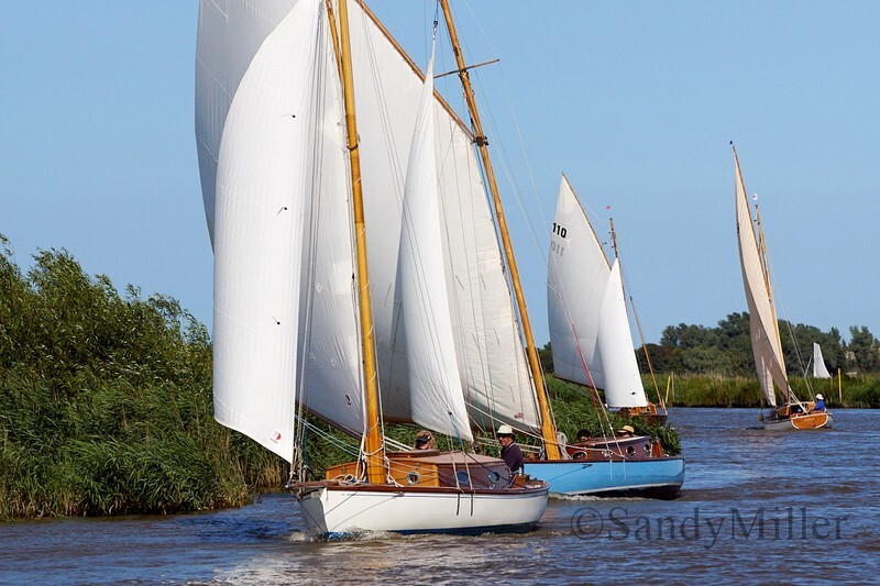 _DSC5432 - YSC Cantley Regatta 2018