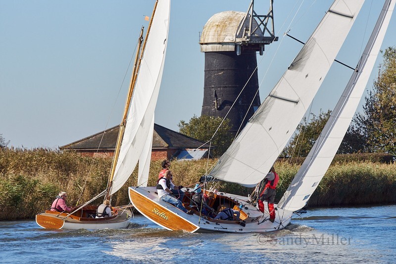 _DSC0700 - Tri-Icicle 2018