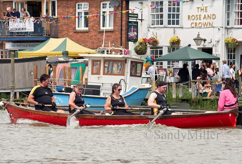 _6223928  - Wivenhoe Regatta 2024