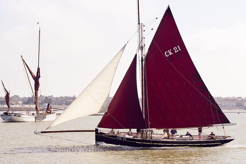_DSC4337 - Rowhedge Regatta 2018