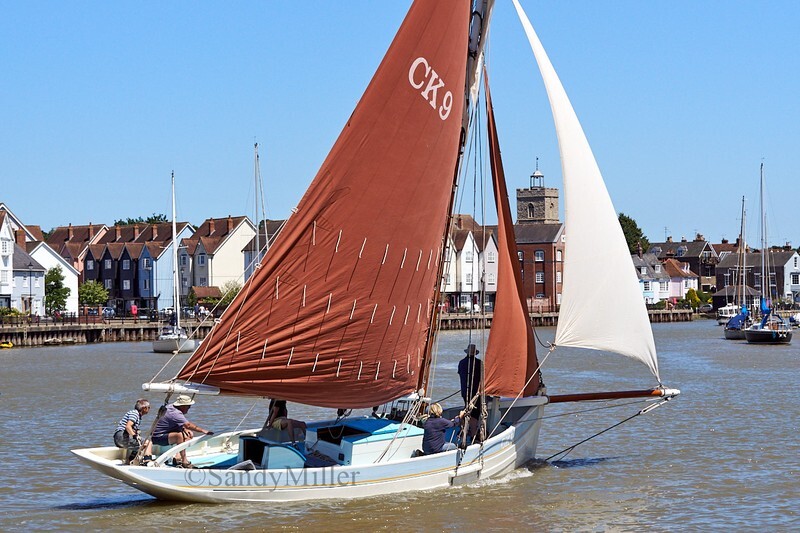 _DSC4640 - Rowhedge Regatta 2018