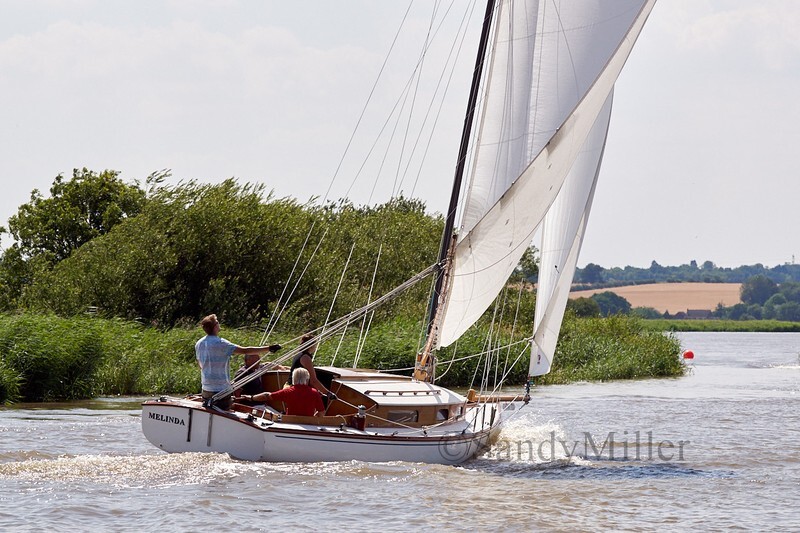 _DSC5700 - YSC Cantley Regatta 2018