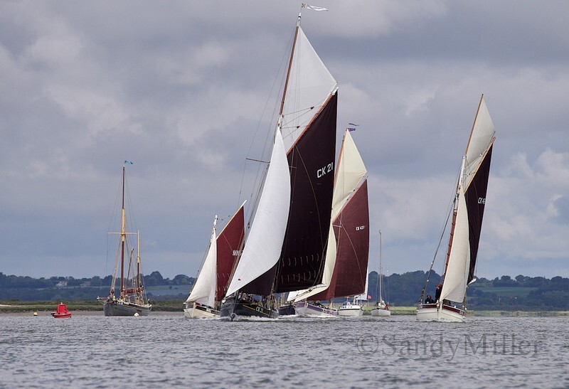 _6223762  - Wivenhoe Regatta 2024