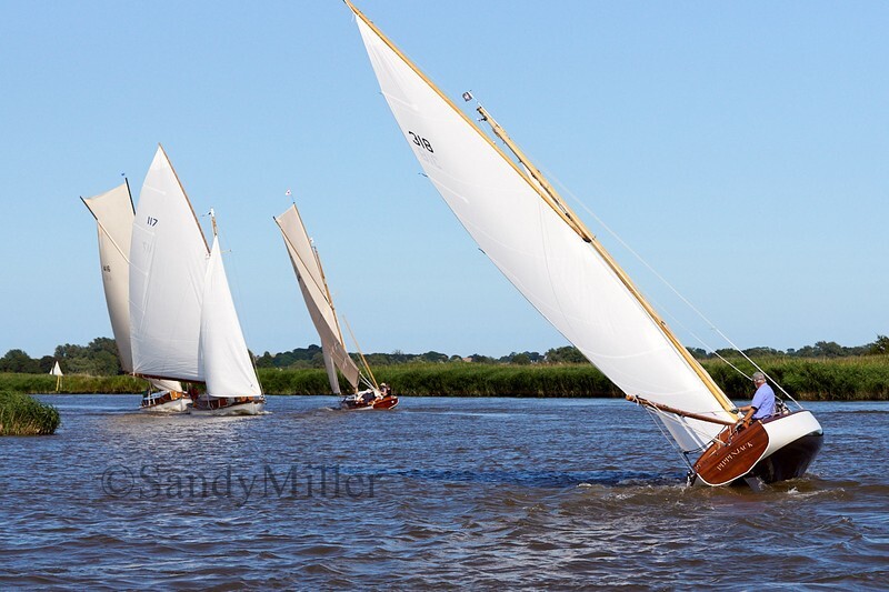 _DSC5488 - YSC Cantley Regatta 2018