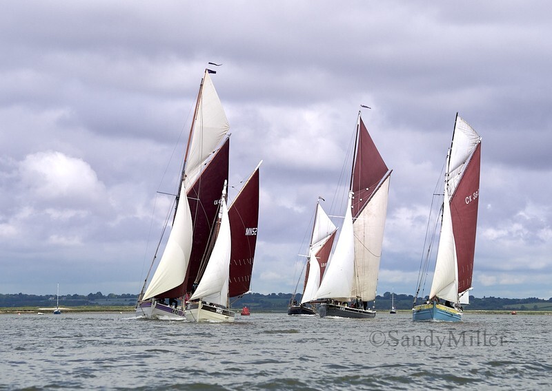 _6223767 - Wivenhoe Regatta 2024