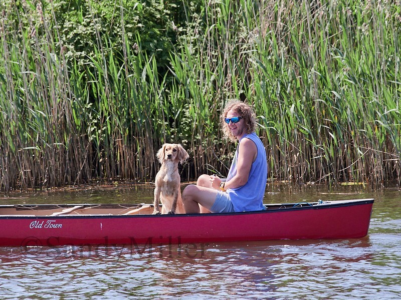 _5190920 1 - Norfolk One Design Open 2024