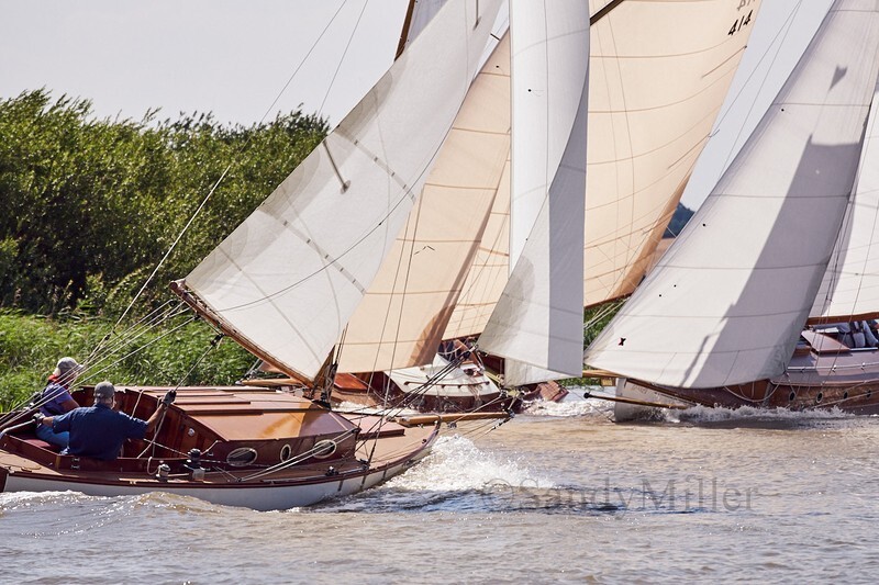 _DSC5703 - YSC Cantley Regatta 2018