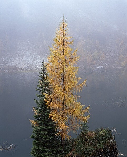  - The Dolomites