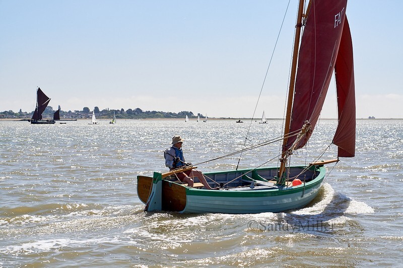 _DSC9014 - Rowhedge Regatta 2018