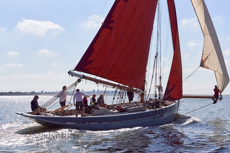 _DSC4378 - Rowhedge Regatta 2018