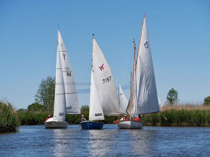 _1003989  - 3 Rivers Race 2021