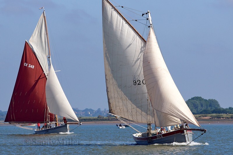 _DSC4365 - Rowhedge Regatta 2018