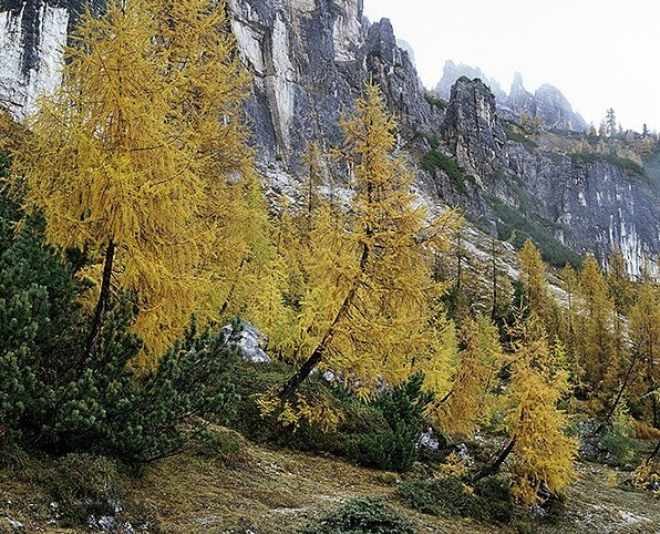  - The Dolomites