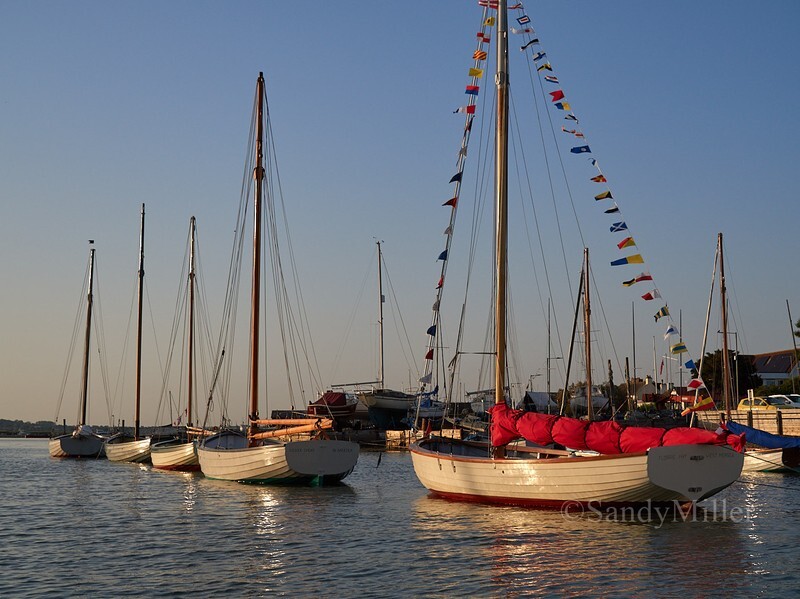 _1010059 - Essex Heritage Workboats at Mersea