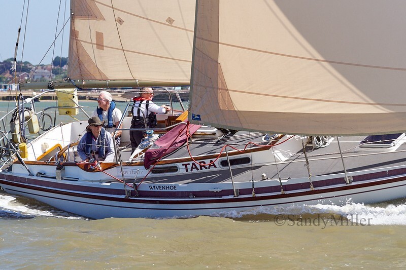 _DSC4428 - Rowhedge Regatta 2018