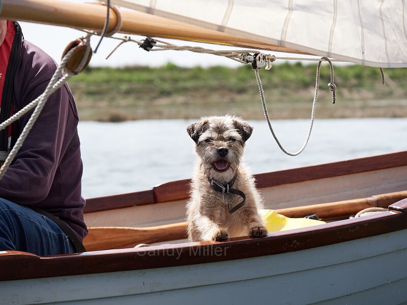 _1018373 - OGA Tollesbury Rally 2022