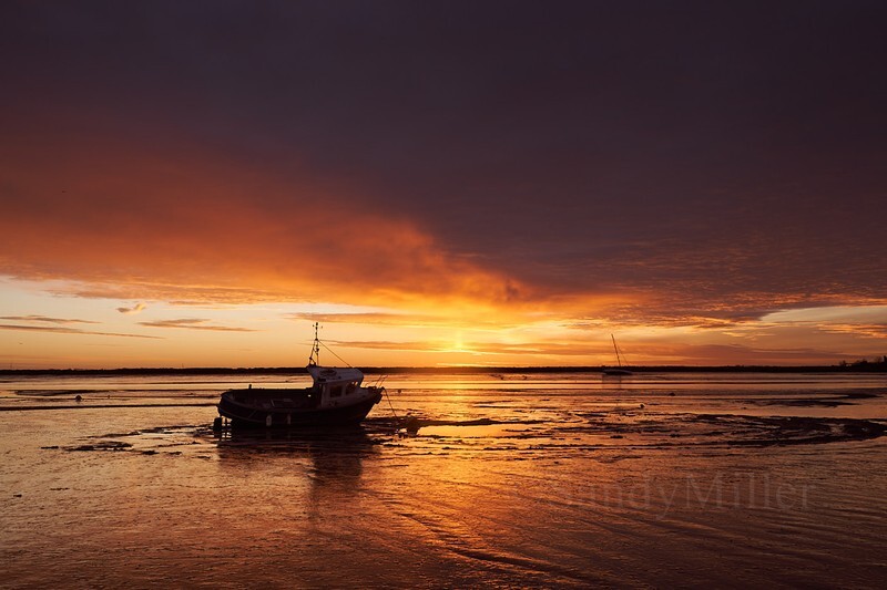 _DSC3355 - Estuary light