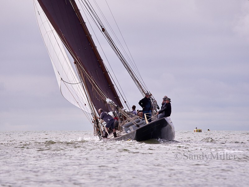 _6223773  - Wivenhoe Regatta 2024