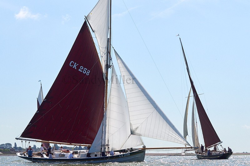 _DSC3711 - Rowhedge Regatta 2019