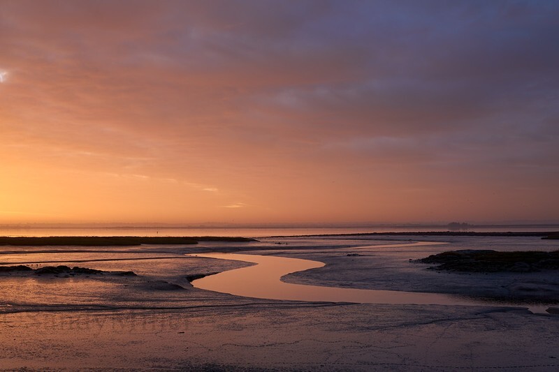 _DSC3067 - Estuary light