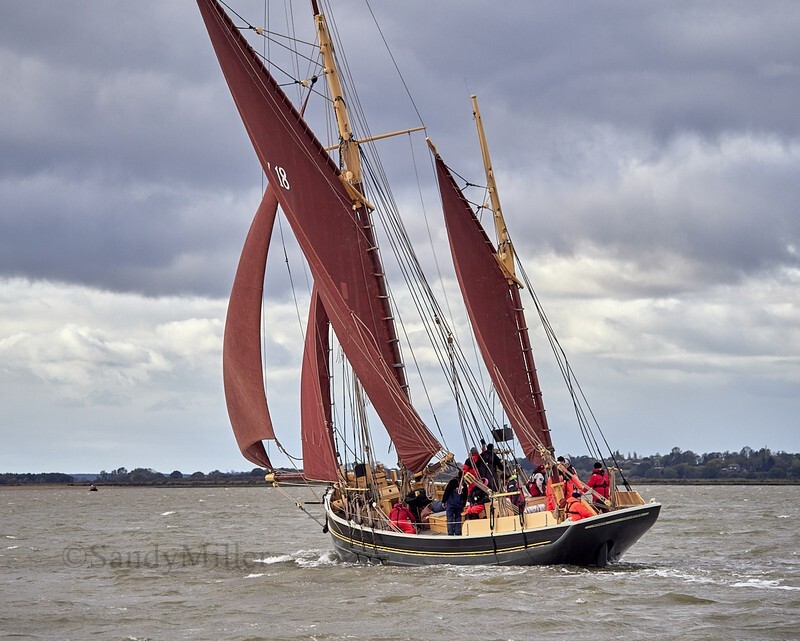 _1015135 - Turkey Race 2025