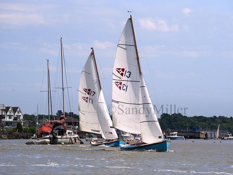 _1010045 1 - Rowhedge Regatta 2025