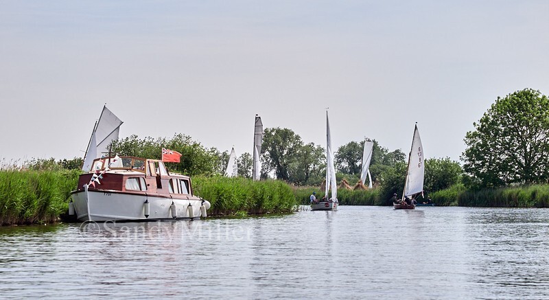 _1016325 - 3 Rivers Race 2026