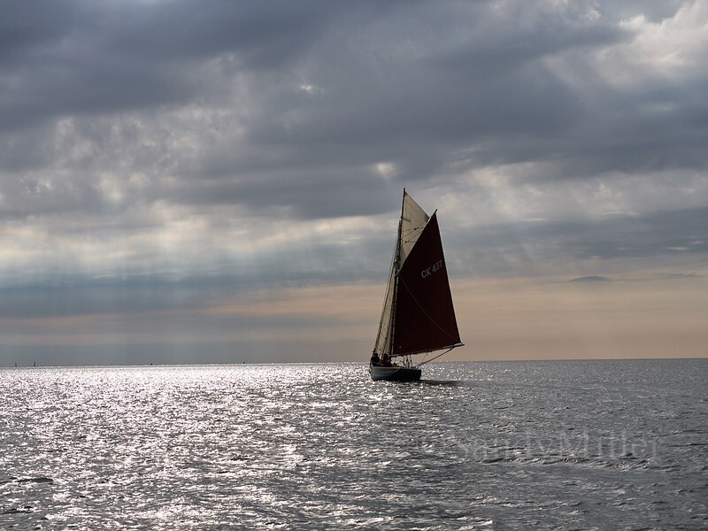 _1016866 - Estuary light