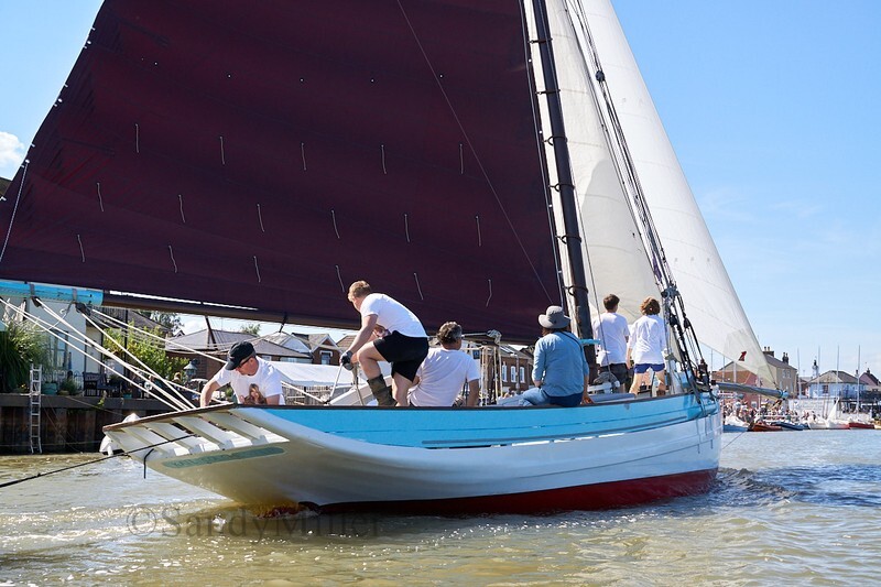 _DSC9667 - Rowhedge Regatta 2019