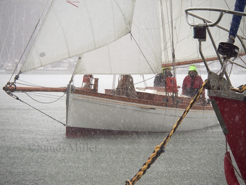 _1015173 1 - Parade of Sail OGA Diamond Jubilee 2023