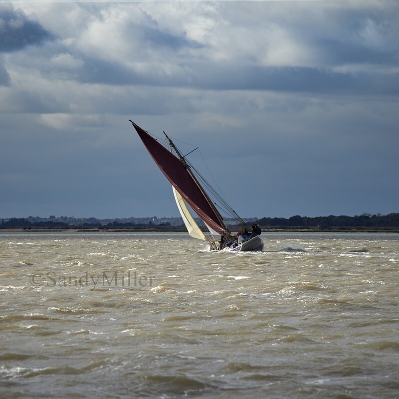 _1015163 - Turkey Race 2025