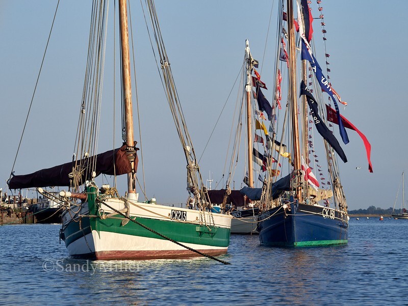 _1015948 - Essex Heritage Workboats at Mersea