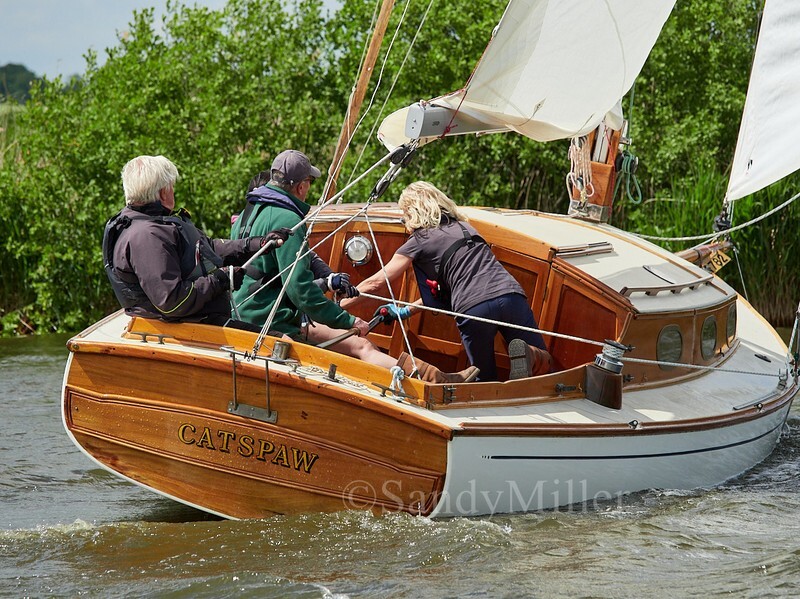 _1018579 - TMOR 2025