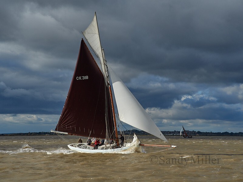 _1010042 1 - Turkey Race 2025