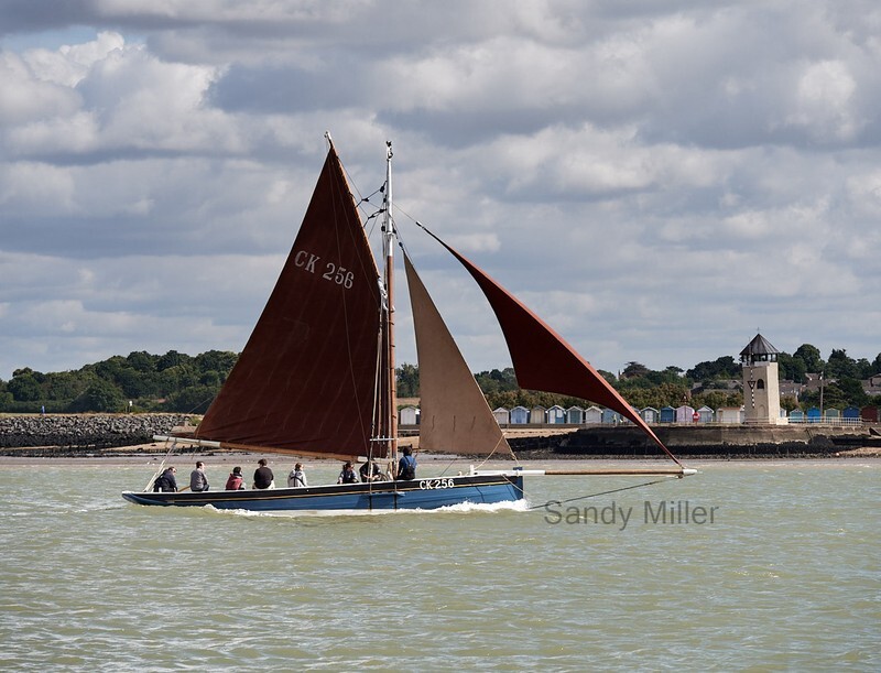 _1019732  - Wivenhoe Regatta 2022