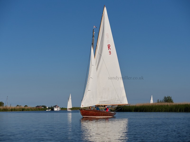 _1004049  - 3 Rivers Race 2021