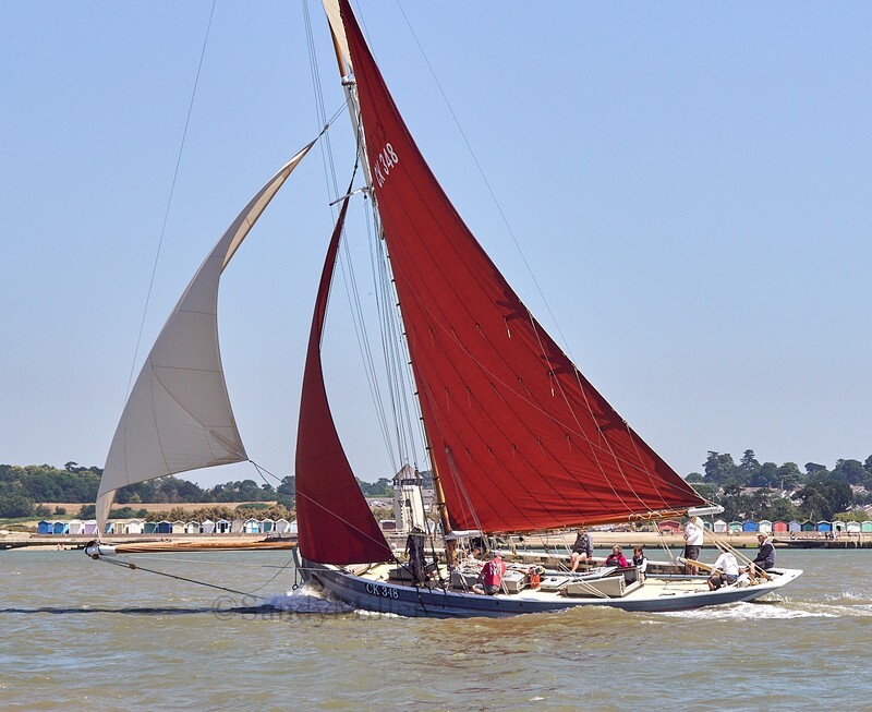 _DSC4470 - Rowhedge Regatta 2018
